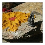 cas__rio16 cas__rio16