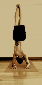 Pincha_Mayurasana Pincha_Mayurasana