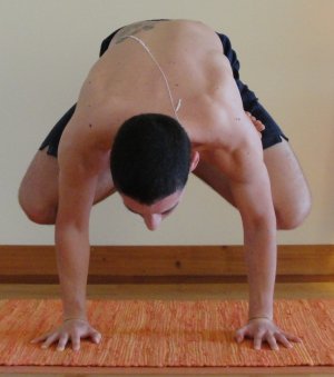 padma_kakasana