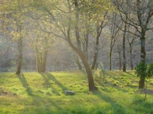 fim_de_tarde fim_de_tarde