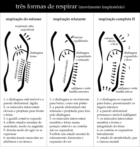 respiracao_yogika respiracao_yogika